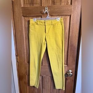 Women’s dress pants